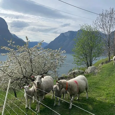 Stegastein Aurland