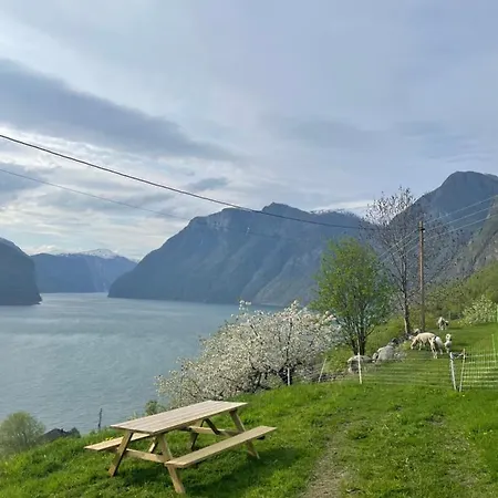 Leilighet Stegastein *