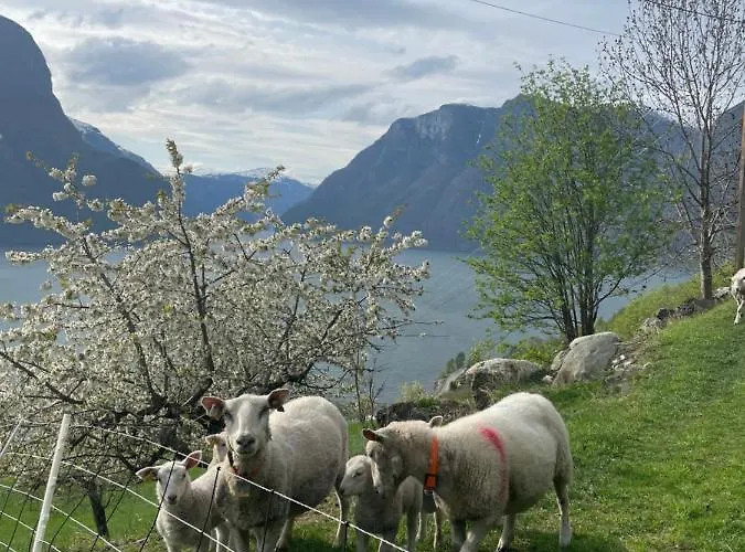 Stegastein Aurland